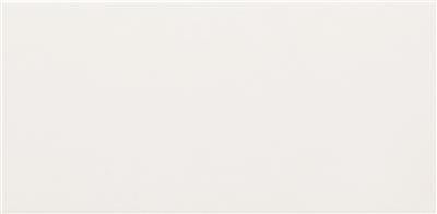 Steenbok Project Line Wit Glans 15x30 (M) - tegel - wit - kopen bij Mr Tegel