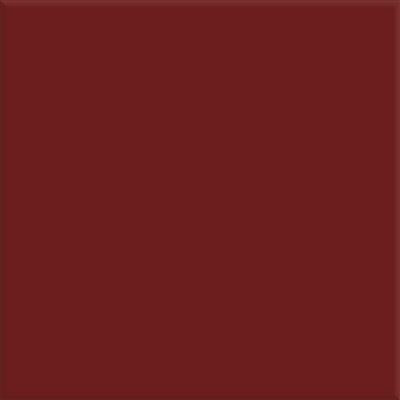 Steenbok Project Glans 15x15 (M)   26 KLEUREN - tegel - kopen bij Mr Tegel