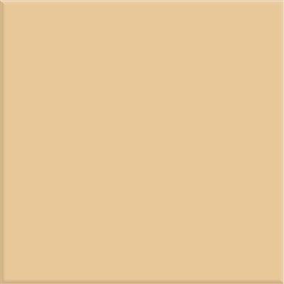 Steenbok Project Glans 15x15 (M)   26 KLEUREN - tegel - kopen bij Mr Tegel
