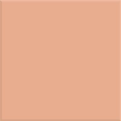 Steenbok Project Glans 15x15 (M)   26 KLEUREN - tegel - kopen bij Mr Tegel