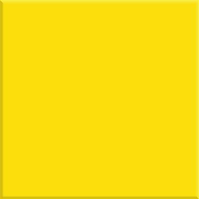 Steenbok Project Glans 15x15 (M)   26 KLEUREN - tegel - kopen bij Mr Tegel