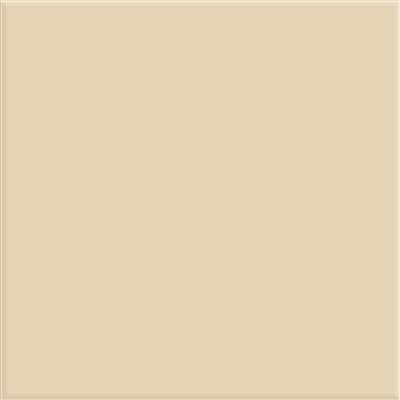 Steenbok Project Glans 15x15 (M)   26 KLEUREN - tegel - kopen bij Mr Tegel