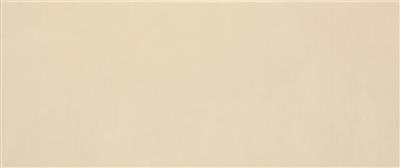 Alcor Evian Beige 25x60 - tegel - beige - kopen bij Mr Tegel