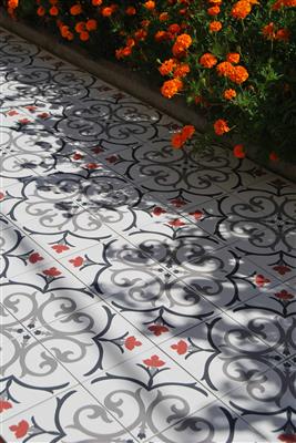 Kerion Neocim Classic Branche Framboise 20x20 Décor - tegel - kopen bij Mr Tegel