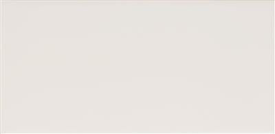 Steenbok Project Wit Glans 15x30 (M) - tegel - wit - kopen bij Mr Tegel