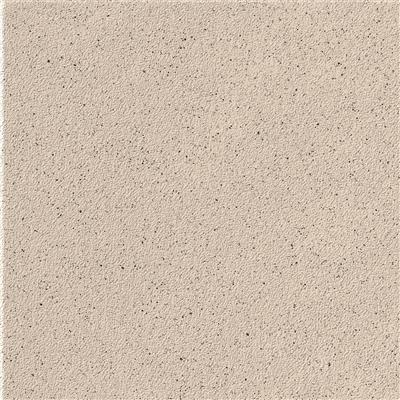 Steenbok Project Cortina Antislip 15x15 R11 - tegel - kopen bij Mr Tegel