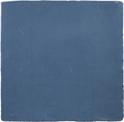 Steenbok Dutch Aqua Mat 13x13 - tegel - kopen bij Mr Tegel
