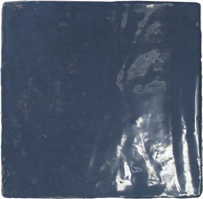 Steenbok Dutch Aqua Glans 13x13 - tegel - kopen bij Mr Tegel