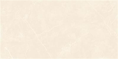 Ecoceramic Luxe Puccini Marfil Polished 60x120 (R) - tegel - kopen bij Mr Tegel
