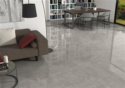Ecoceramic Luxe Puccini Gris Polished 60x60 (R) - tegel - kopen bij Mr Tegel