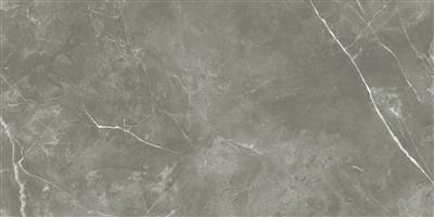 Ecoceramic Luxe Puccini Gris Polished (R) meerdere maten beschikbaar - tegel - kopen bij Mr Tegel