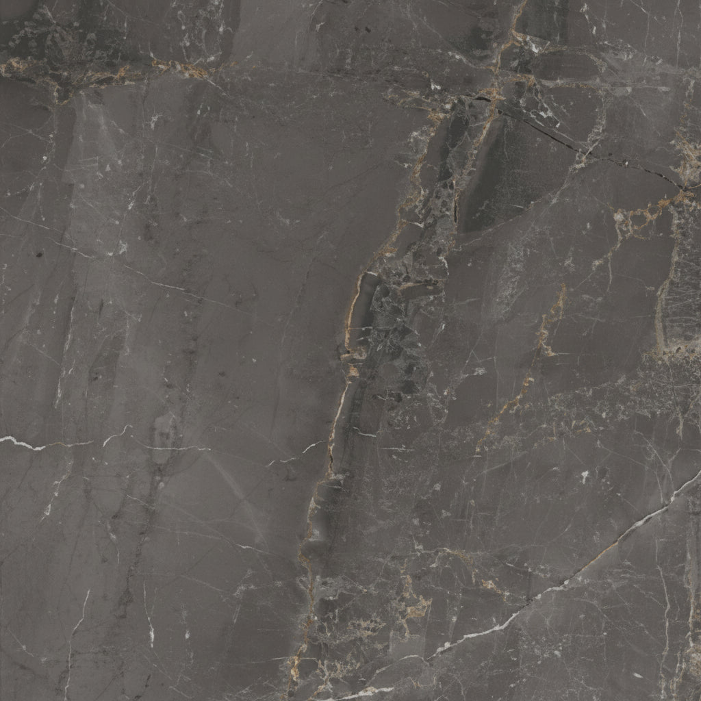 Dado Charme Black 60x60 Matt (R) - tegel - kopen bij Mr Tegel