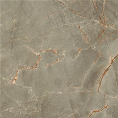 Cerdomus Omnia Jadore Polished (R) - tegel - kopen bij Mr Tegel