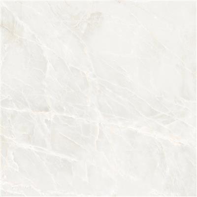 Ecoceramic Brasilia White Polished (R) - tegel - kopen bij Mr Tegel