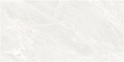 Ecoceramic Brasilia White Polished (R) - tegel - kopen bij Mr Tegel